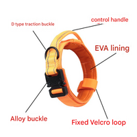 M Black Hands-Free Dog Leash with Adjustable Waist Belt - Shock Absorbing Bungee Lead thumbnail