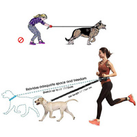Black Reflective Pet Waist Bag with Hands-Free Leash for Night Safety - Adjustable Waist Pack with Detachable Pouches thumbnail