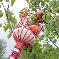 Fruit picking tool with telescopic pole - stainless steel fruit picking pole, high altitude tree fruit picking tool 2.4m thumbnail