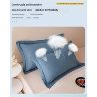 Light Red Pure Cotton Flannel Pillowcase Set - Soft, Thickened, Solid Color (Pair, 48x74cm) thumbnail