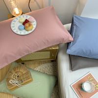 Light Blue And Grey Washed Cotton Pillowcase Set - Solid Color, Simple Two-Tone Design, 48x74cm (Pair) thumbnail