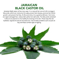 Black Castor Oil (2.02 fl oz), Jamaican Organic Regrowth Treatments thumbnail
