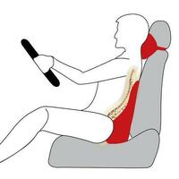 Memory Foam Lumbar & Neck Cushion Mocha thumbnail
