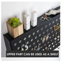 Wall Mount Earring Jewelry Hanger Organizer Holder with 109 Holes and 19 Hooks (Black) thumbnail