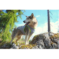 Cooling Vest Neon Yellow L thumbnail