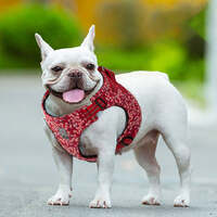 Floral Doggy Harness Red S thumbnail