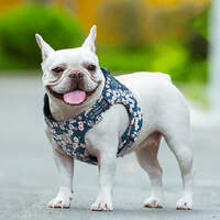 Floral Doggy Harness Saxony Blue S thumbnail