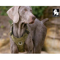 Lightweight Harness Army Green XS thumbnail