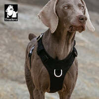 Lightweight Harness Black S thumbnail