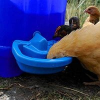 Maxi-Cup Automatic Poultry Waterer Cups x 2 thumbnail