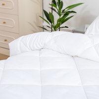 Microfiber/Bamboo Blend, Hypoallergenic & Antibacterial Quilt - Queen thumbnail