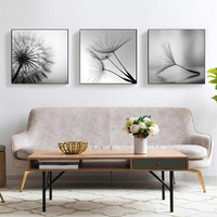 Wall Art 50cmx50cm Botanical dandelions 3 Sets Black Frame Canvas thumbnail