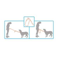 Jogging Dog Bungee Leash - Adjustable Waist Belt Bag + Hands Free Walking Lead thumbnail