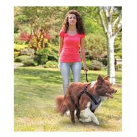 L Dog Harness 2 in 1 Combo - Car Travel Rides + Walks - No Pull Leash Seat Belt thumbnail