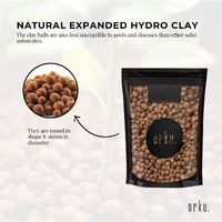 1L Hydro Clay Balls - Natural Premium Hydroponic Expanded Plant Growing Medium thumbnail