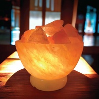 12V 12W Fire Bowl Himalayan Pink Salt Lamp Carved Rock Crystal Light Bulb On/Off thumbnail