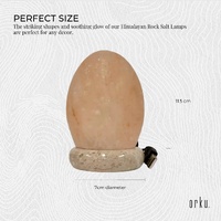 USB Colour Changing Egg Shape Himalayan Pink Salt Lamp Color Change LED Light thumbnail