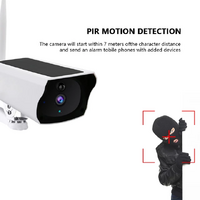 BDI Y4P Security WiFi Camera with Solar & Battery thumbnail