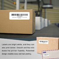 10x Compatible Dymo 11355 SD11355 / S0722550 thermal label 19mm x 51mm 500 Per Roll for Dymo labelWriter thumbnail