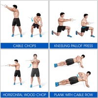 LAT D Bar D Pull Down Handle Row Handle Cable Machine Attachment thumbnail