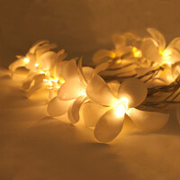 1 Set of 20 LED White Frangipani Flower Battery String Lights Christmas Gift Home Wedding Beach Party Decoration Outdoor Table Centrepiece thumbnail