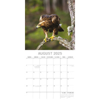 Country Wildlife - 2025 Square Wall Calendar Animals 16 Months Premium Planner thumbnail