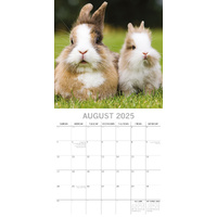 Cute Bunnies - 2025 Square Wall Calendar Pets Animals 16 Months Premium Planner thumbnail