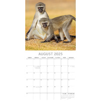 Monkey Business 2025 Square Wall Calendar Animals 16 Months Premium Planner Gift thumbnail