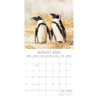 Penguins - 2025 Square Wall Calendar Pets Animals 16 Months Premium Planner Gift thumbnail