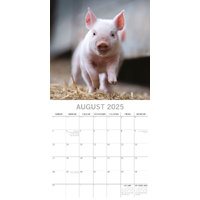 Piggies - 2025 Square Wall Calendar Pets Animals 16 Months Premium Planner Gift thumbnail
