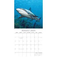Sharks - 2025 Square Wall Calendar Pets Animals 16 Months Premium Planner Gift thumbnail