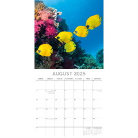 Under the Sea 2025 Square Wall Calendar 16 Months New Year Premium Planner Gift thumbnail