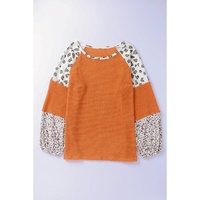 Azura Exchange Leopard Colorblock Top - S thumbnail