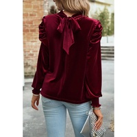 Azura Exchange Red Mock Neck Puff Sleeve Velvet Blouse - M thumbnail