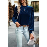 Sky Blue Fiery Mock Neck Puff Sleeve Velvet Blouse - L thumbnail