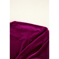 Pitaya Pink Velvet Mock Neck Ruched Long Sleeve Bodycon Dress - XL thumbnail