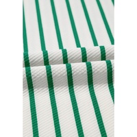 Green Stripe Plus Size St Patricks Day Round Neck T Shirt - 2X thumbnail