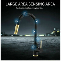 2023 Brushed Gold Spout Matte Black pull out with spray function kitchen mixer tap faucet thumbnail