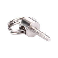 Universal Lanyard Screw for Iphone Models 11 14 thumbnail