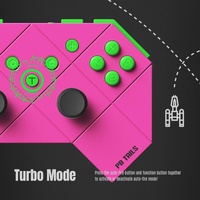 Silver Gamepad for Switch - Tooth-shaped thumbnail