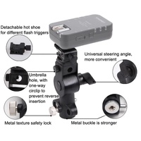 Lightweight D-Shaped Flash Mount For Top Lighting thumbnail