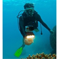 Waterproof Video Light for Action Cameras - 3 Modes thumbnail