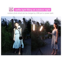 Portable Double Arm Fill Light with Phone Clip - Adjustable Brightness Black thumbnail