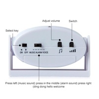 Smart Wireless Doorbell With Motion Sensor And Voice Prompt - Blue thumbnail