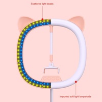 Beauty Eye Care Filling Light Holder for Live Streaming - Pink thumbnail