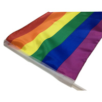 2x RAINBOW CAR FLAG with Window Clip Flags Australia Day 30cm x 45cm Gay Pride thumbnail