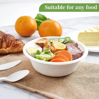 600pcs Disposable Sugarcane Bagasse Round Bowls - 18cm (450ml) - Bulk thumbnail