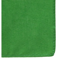 BANDANA Paisley 100% COTTON Head Wrap Durag Bandanna Summer Biker Scarf Mask - Green (Plain) thumbnail
