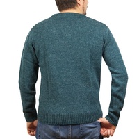 100% Shetland Wool V Neck Knit Jumper Pullover Mens Sweater Knitted - Sherwood (32) - M thumbnail