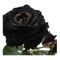 Faux Rose Stem thumbnail